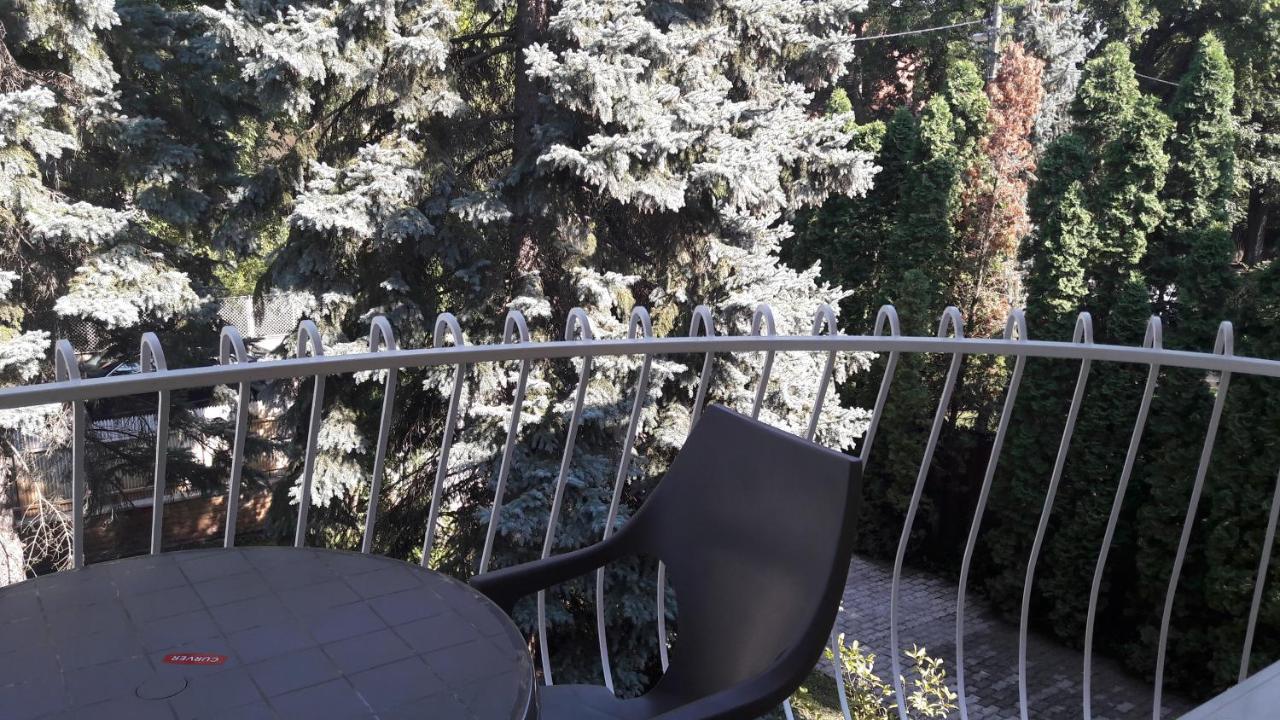 Pero Panzio Bed and Breakfast Debrecen Buitenkant foto